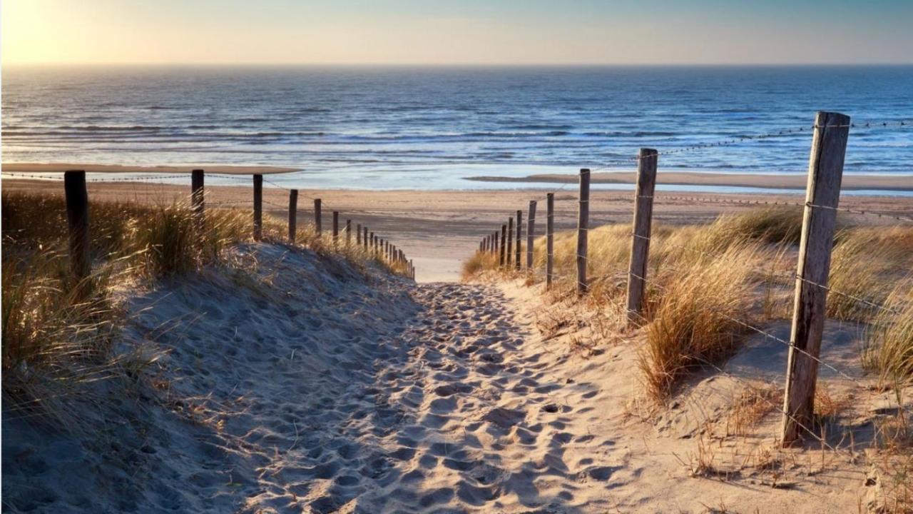 Cottage 44 - Free Parking! Zandvoort Eksteriør billede