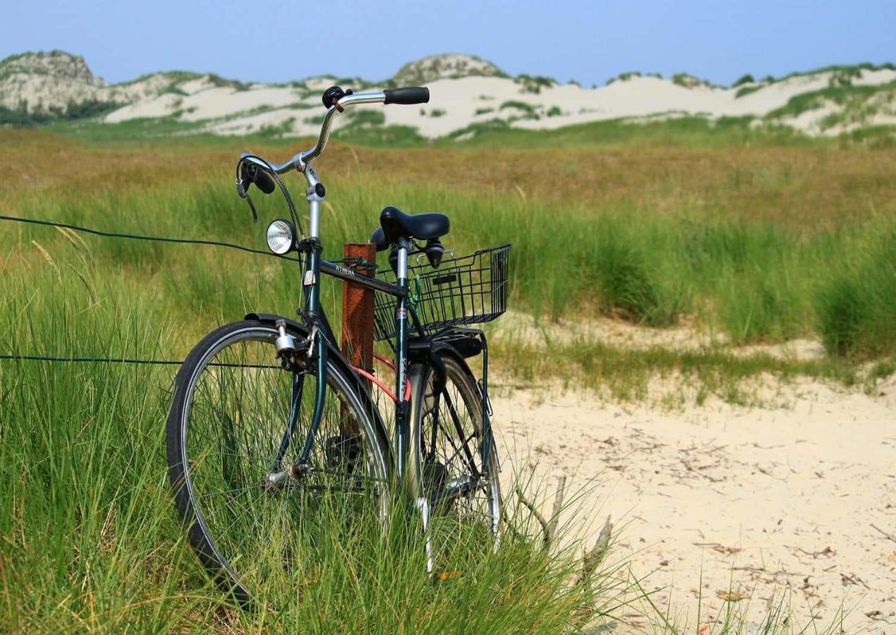 Cottage 44 - Free Parking! Zandvoort Eksteriør billede